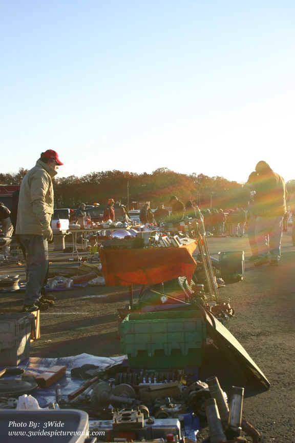 d12.01.07_WALL_FLEA.jpg (126890 bytes)