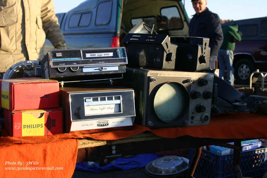 d12.01.07_WALL_FLEA_2.jpg (162205 bytes)