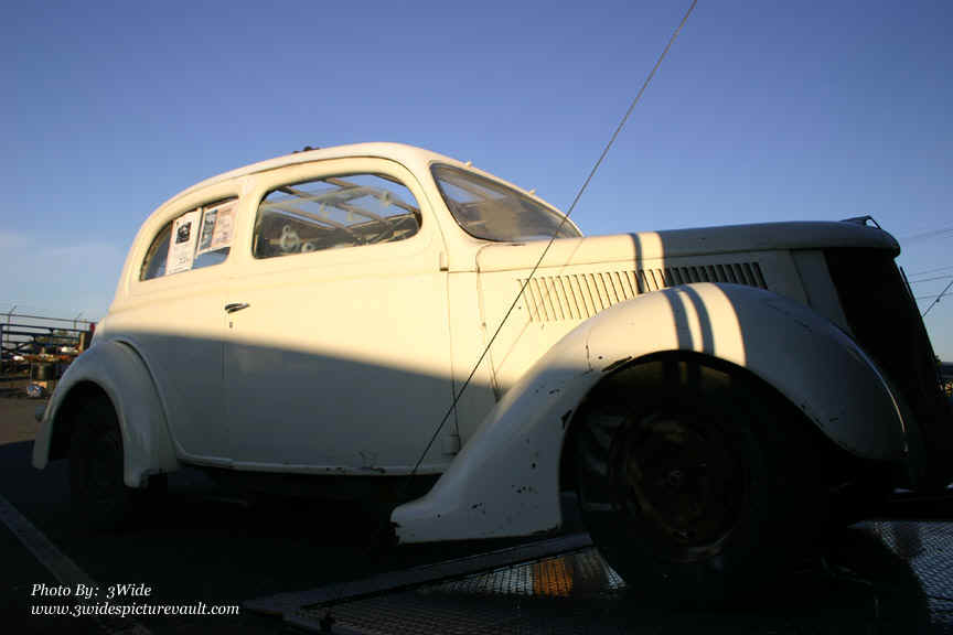 d12.01.07_WALL_FLEA_5.jpg (95364 bytes)