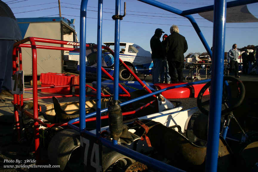 d12.01.07_WALL_FLEA_a8.jpg (147378 bytes)