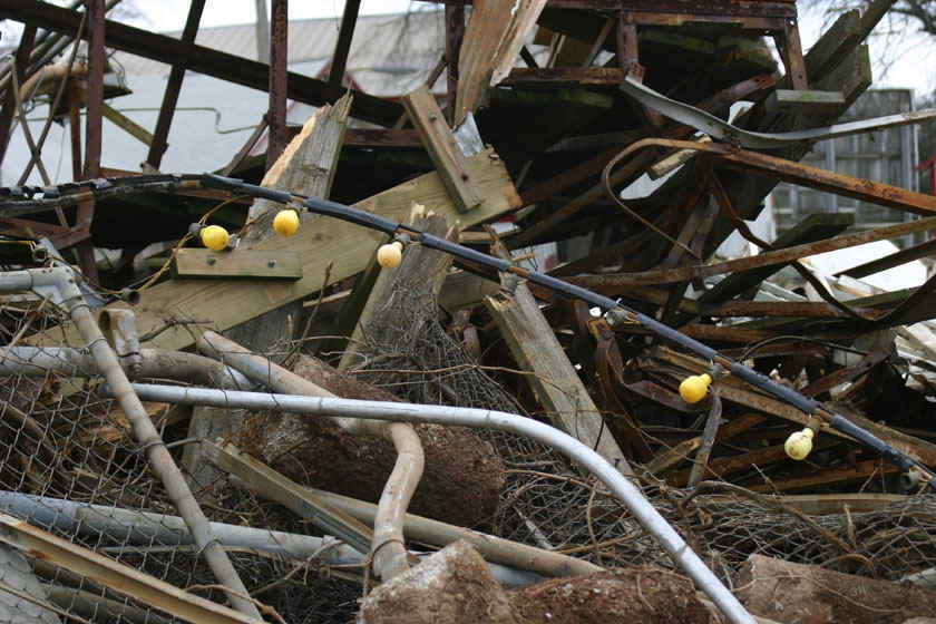 c01.06.06_FLEM_lights.jpg (173766 bytes)