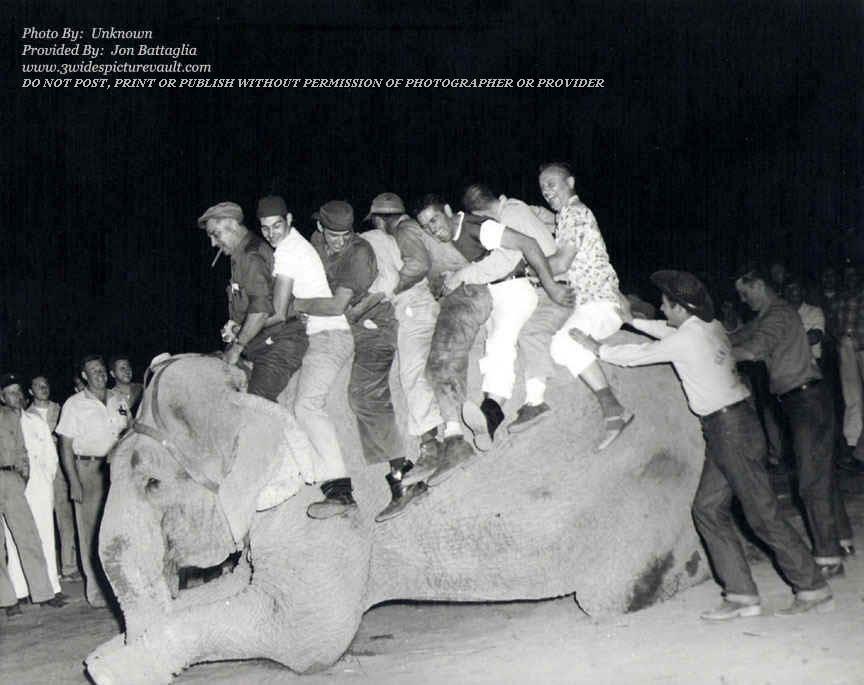 d12.12.07_ELE_DRI_UNK_0060F_1.jpg (127916 bytes)