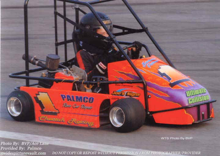 a12.05.04_001_PAL_WAL_2004_1.jpg (62254 bytes)